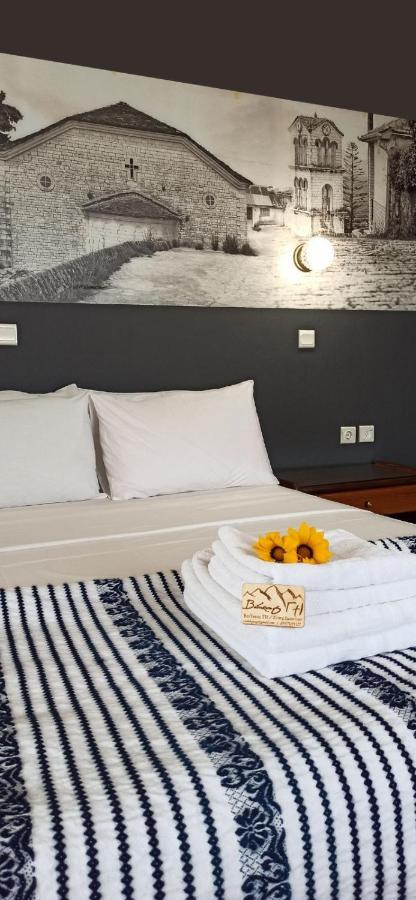 Βαδόκειος Γη Hotell Zitsa Eksteriør bilde